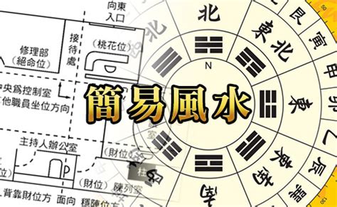 自來灰鴿風水|MASTERSO.COM 蘇民峰命理風水網站